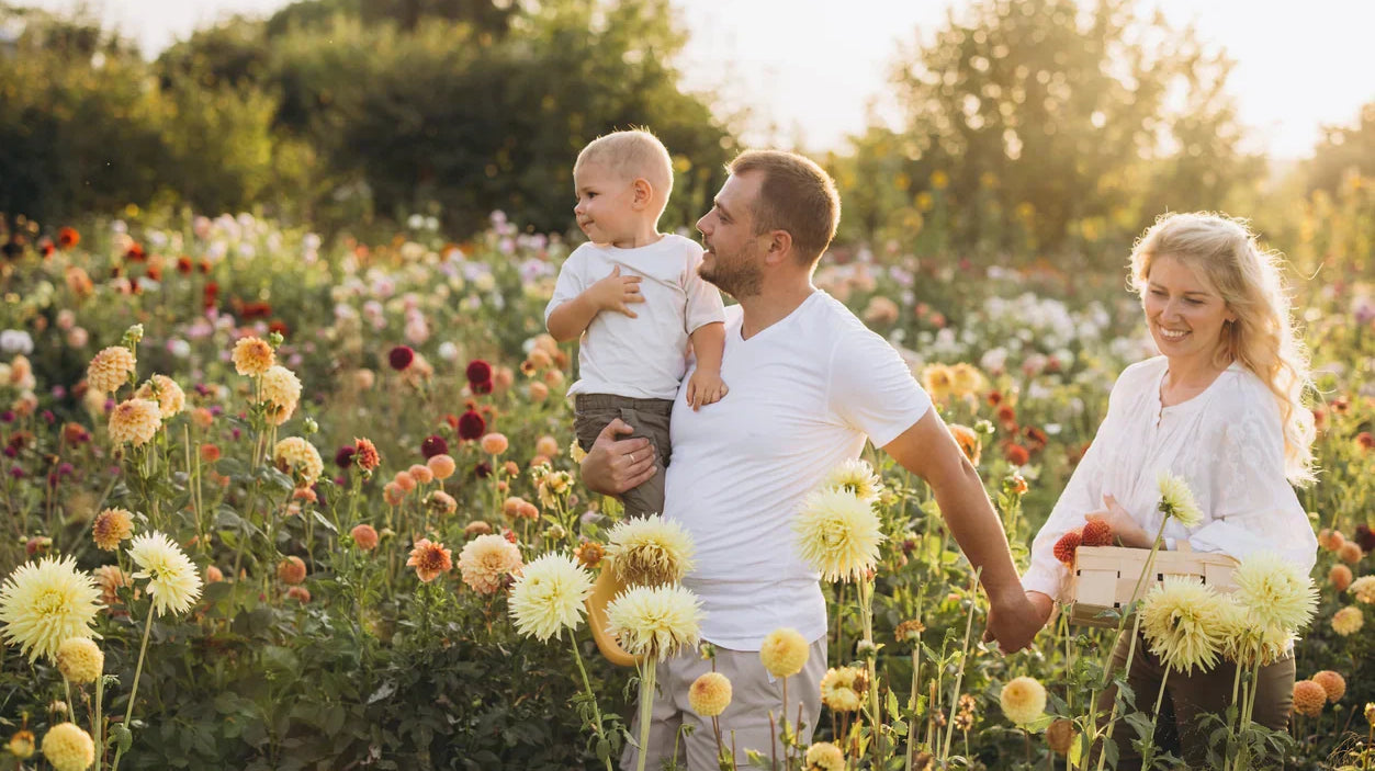 Is 7.5 Eyesight Bad? What Your Prescription Actually Means