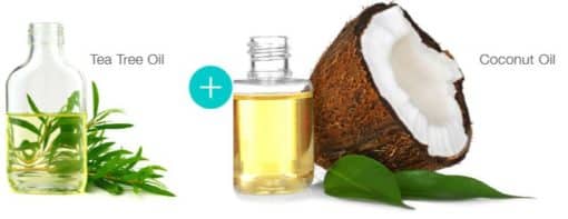 tea tree oil and coconut oil