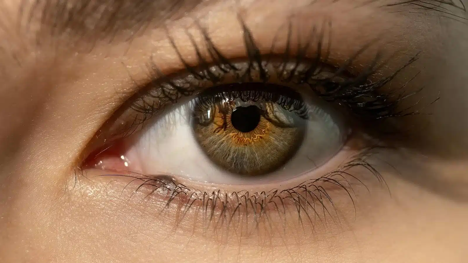 Close Up of an eye