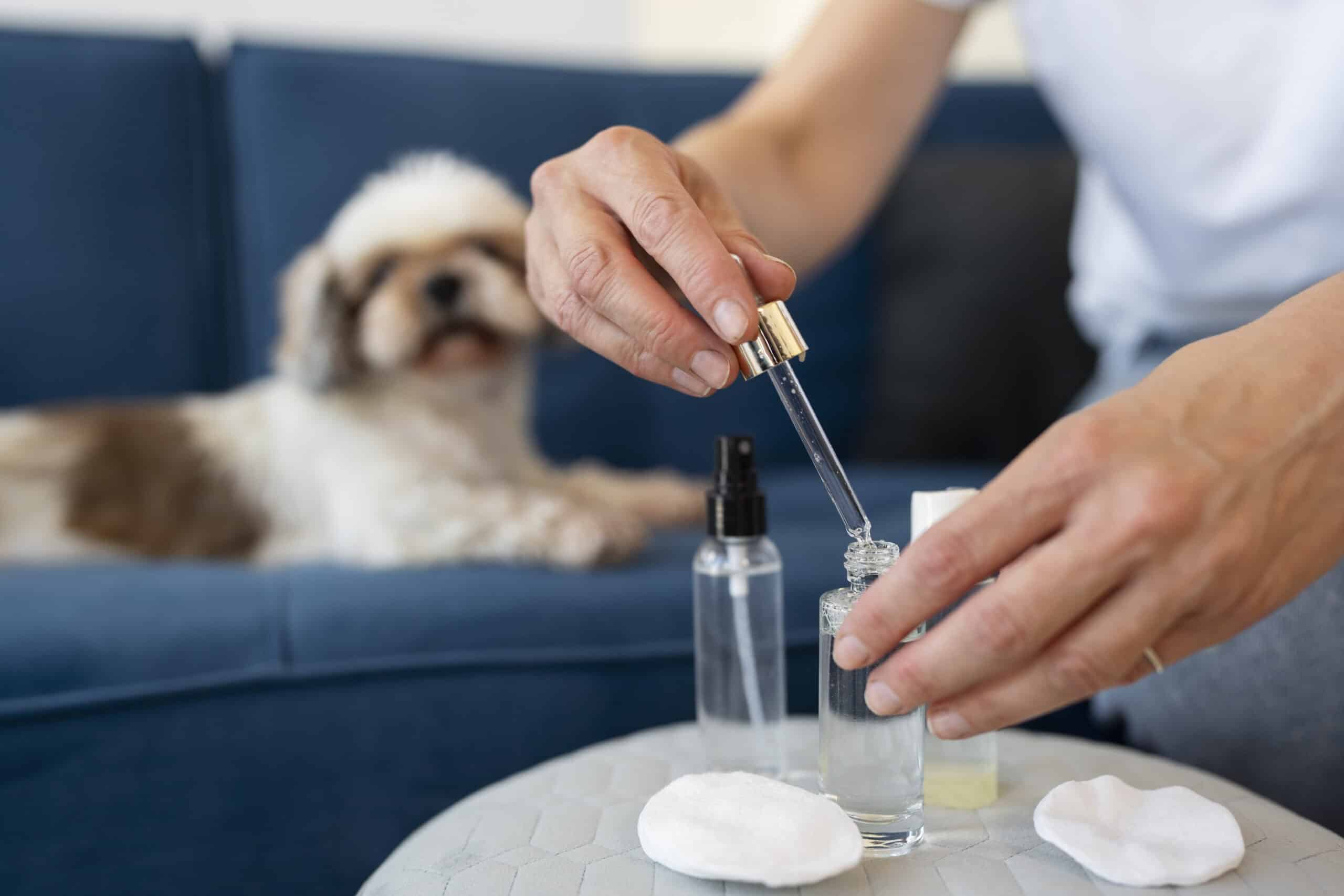 Best Antibiotic Eye Drops for Dogs Infections and Cataracts